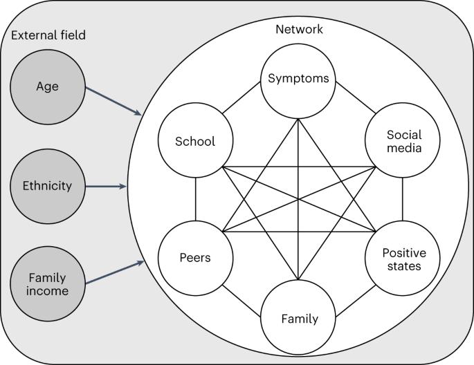 Time spent on social media among the least influential factors in adolescent mental health: preliminary results from a panel network analysis