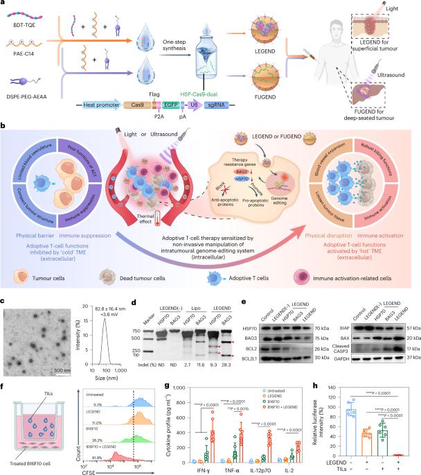 Non-invasive activation of intratumoural gene editing for improved adoptive T-cell therapy in solid tumours