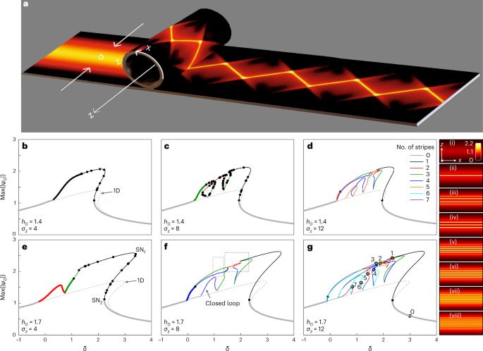 Photonic snake states in two-dimensional frequency combs