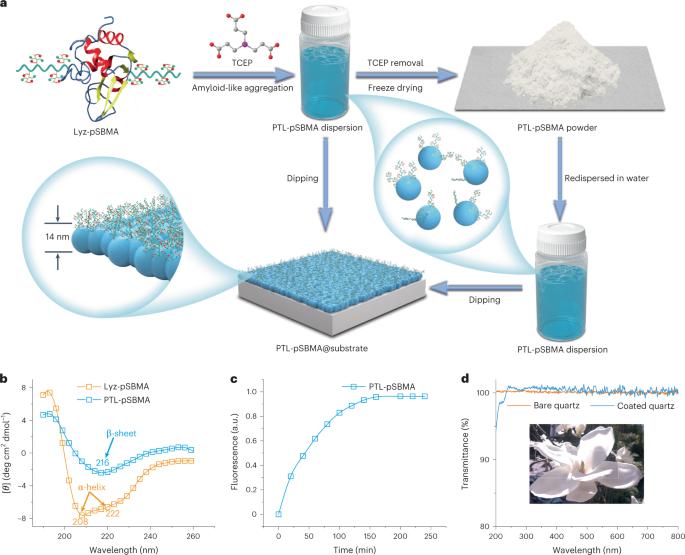 Sustainable polymer coating for stainproof fabrics