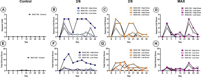 Tolerability and tropism of recombinant adeno-associated virus vectors in the African green monkey (Chlorocebus sabaeus) anterior chamber