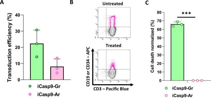 RapaCaspase-9-based suicide gene applied to the safety of IL-1RAP CAR-T cells