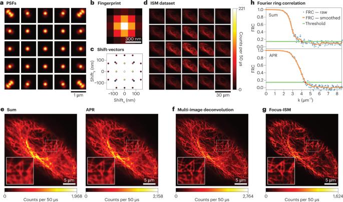 Open-source tools enable accessible and advanced image scanning microscopy data analysis