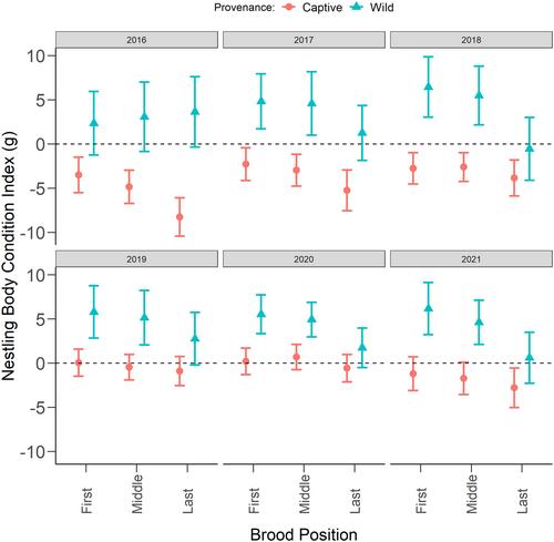 Carry-over effects of nestling physical condition predict first-year survival of a critically endangered migratory parrot