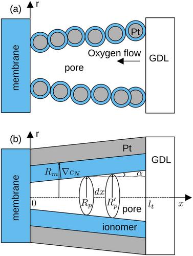 Electrochemical performance and impedance of a conical pore in the low–Pt PEM fuel cell catalyst layer