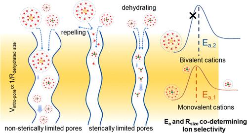 Steric Hindrance-Induced Dehydration Promotes Cation Selectivity in Trans-Subnanochannel Transport