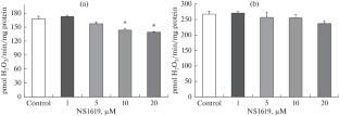 Benzimidazole Derivative NS1619 Inhibits Functioning of Mitochondria Isolated from Mouse Skeletal Muscle