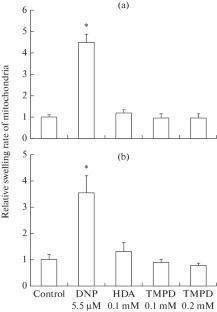 Application of N,N,N',N'-Tetramethyl-p-Phenylenediamine and α,ω-Hexadecanedioic Acid for Determination of the H+/O Ratios of Complexes III and IV of the Liver Mitochondrial Respiratory Chain under Free Respiration Conditions