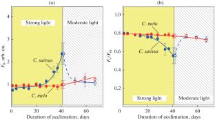 Effects of Plant Acclimation on Electron Transport in Chloroplast Membranes of Cucumis sativus and Cucumis melo