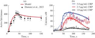 Theoretical Explanation for the Variability in Platelet Activation through the GPVI Receptor