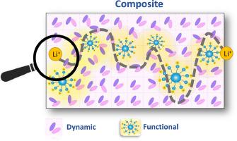 Probing disorder and dynamics in composite electrolytes of an organic ionic plastic crystal and lithium functionalised acrylic polymer nanoparticles