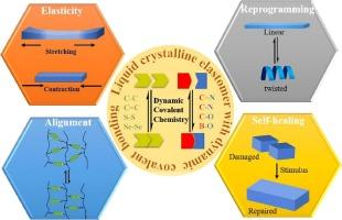 Liquid crystalline elastomer actuators with dynamic covalent bonding: Synthesis, alignment, reprogrammability, and self-healing