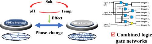 Construction of isoniazid pharmaceutical logic system based on poly(N, N-diethylacrylamide) hydrogel films