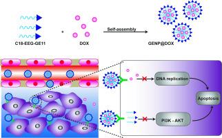 Peptide-functionalized therapeutic nanoplatform for treatment orthotopic triple negative breast cancer and bone metastasis