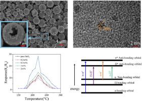 Lychee-like SnO2 hollow microspheres sensitized by carbon quantum dots for high-sensitivity ethanol sensor