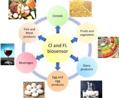 Chemiluminescence and fluorescence biosensors for food application: A review