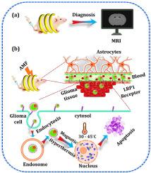 Angiopep-2-conjugated FeTi@Au core-shell nanoparticles for tumor targeted dual-mode magnetic resonance imaging and hyperthermic glioma therapy