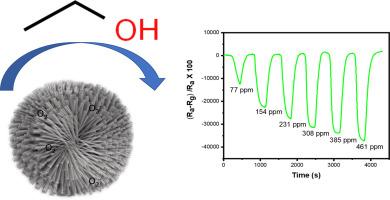 Room temperature sensing of alcohol vapours using novel radially aligned nanorutile titania