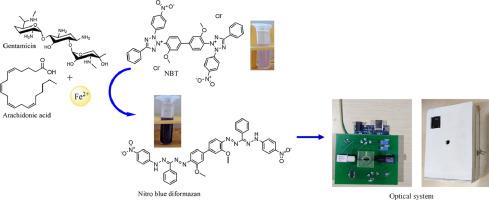 Design and development of a novel colorimetric assay and a portable optical system for the detection of aminoglycoside antibiotics