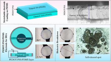 Ink-based transparent compliant electrode for direct coating on untreated hydrophobic PDMS surface