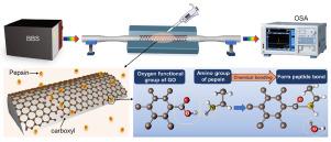 A label-free biosensor for pepsin detection based on graphene oxide functionalized micro-tapered long period fiber grating