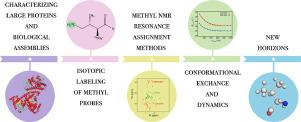 Utility of methyl side chain probes for solution NMR studies of large proteins