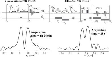 CEST-based detection of labile protons by ultrafast 2D NMR