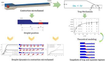 Effect of entry geometry on droplet dynamics in contraction microchannel