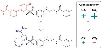 Azulene as a biphenyl mimetic in orexin/hypocretin receptor agonists