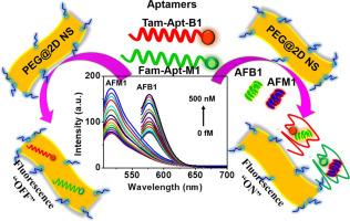 From food toxins to biomarkers: Multiplexed detection of aflatoxin B1 and aflatoxin M1 in milk and human serum using PEGylated ternary transition metal sulfides