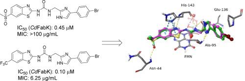 Synthesis and evaluation of phenylimidazole FabK inhibitors as new Anti-C. Difficile agents