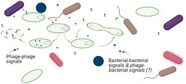 Emerging investigator series: the role of phage lifestyle in wastewater microbial community structures and functions: insights into diverse microbial environments