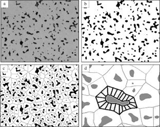 Effect of Doping on the Porous Structure of Iron-Based Compacts During Sintering