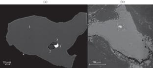 Moissanite in Rocks of the Bobruisk Basement Inlier, Belarusian Crystalline Massif, East European Craton