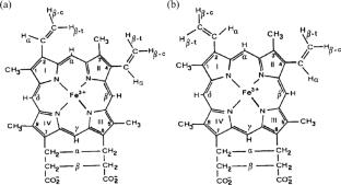 Potential utilization of fungi in biomining as  biological engines for the alteration of sulfide and carbon matrices