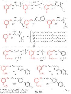 Ammonium Amphiphiles Based on Natural Compounds: Design, Synthesis, Properties, and Biomedical Applications. A Review