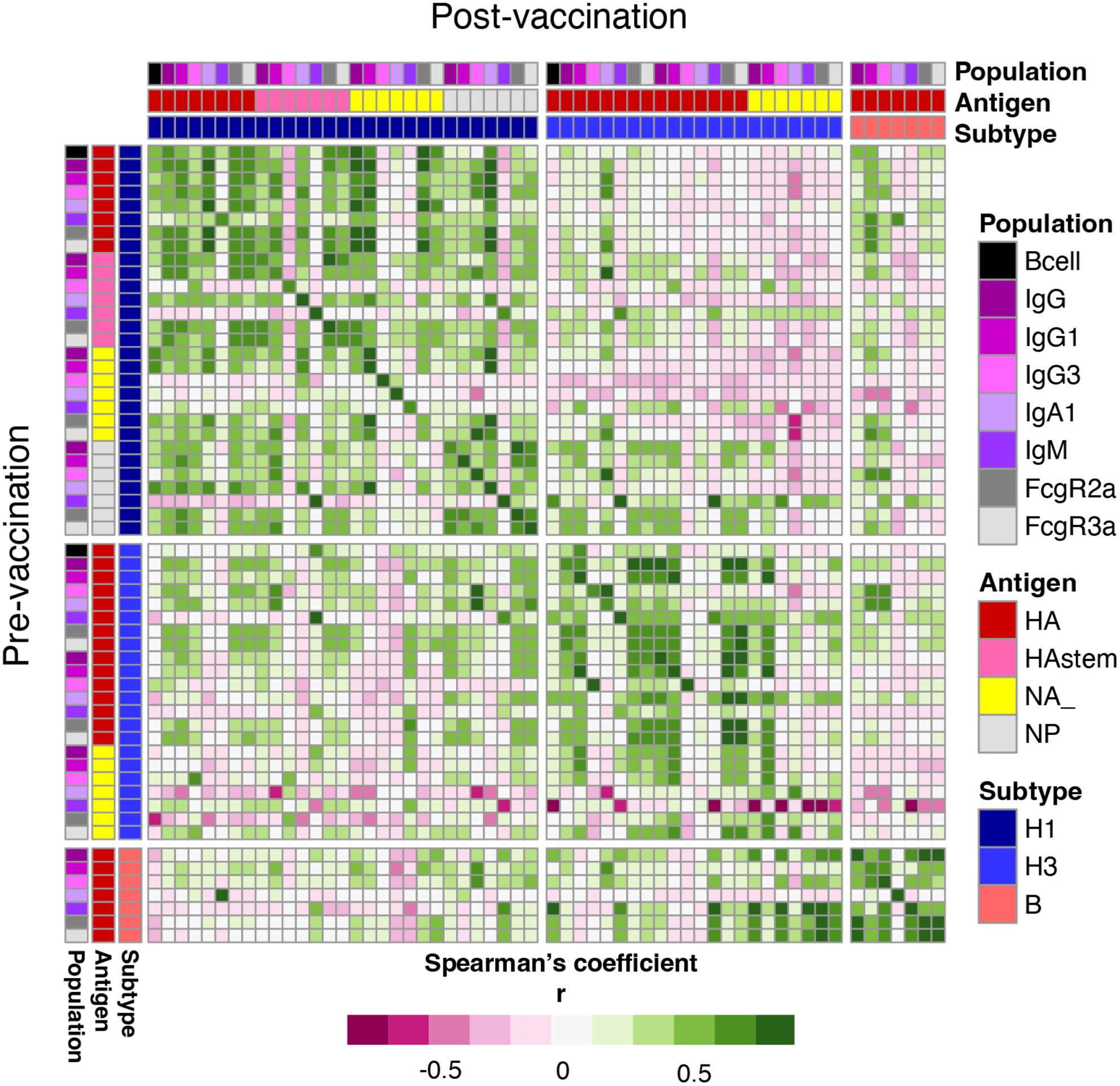 Robust immunity to influenza vaccination in haematopoietic stem cell transplant recipients following reconstitution of humoral and adaptive immunity