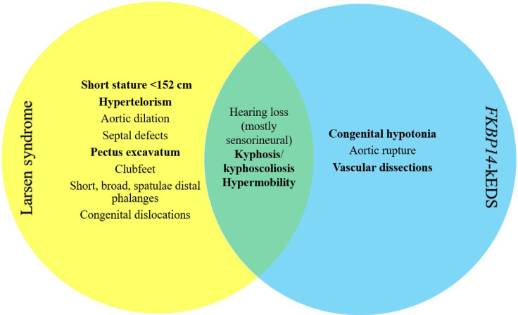 <i>FKBP14</i> kyphoscoliotic Ehlers-Danlos syndrome misdiagnosed as Larsen syndrome: a case report.