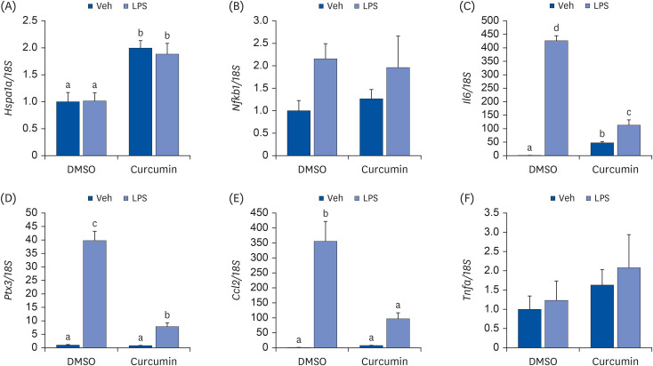 Role of heat shock protein 70 in regulation of anti-inflammatory response to curcumin in 3T3-L1 adipocytes.