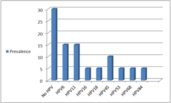 Histopathological characteristics and HPV status in cervical biopsy specimens diagnosed as flat condyloma.