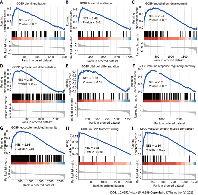 Single cell RNA sequencing reveals mesenchymal heterogeneity and critical functions of <i>Cd271</i> in tooth development.