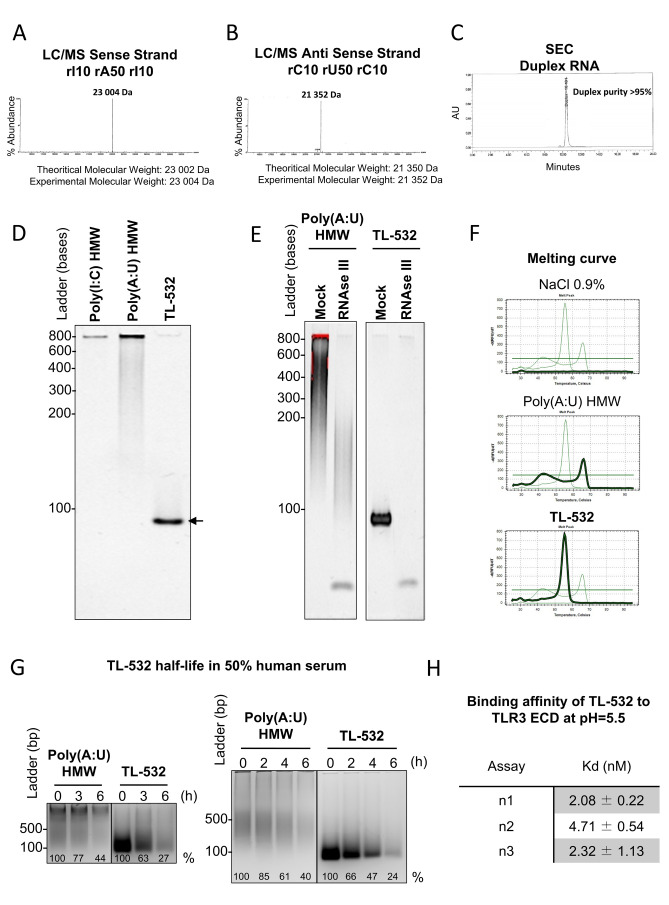 TL-532, a novel specific Toll-like receptor 3 agonist rationally designed for targeting cancers: discovery process and biological characterization.