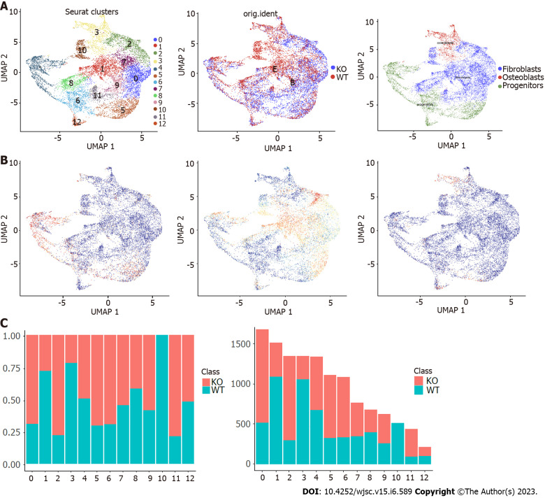 Single cell RNA sequencing reveals mesenchymal heterogeneity and critical functions of <i>Cd271</i> in tooth development.