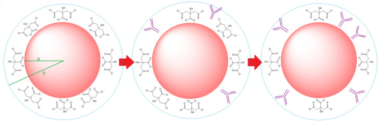 Application of Localized Surface Plasmon Resonance of Conjugated Gold Nanoparticles in Spectral Diagnosis of SARS-CoV-2: A Numerical Study