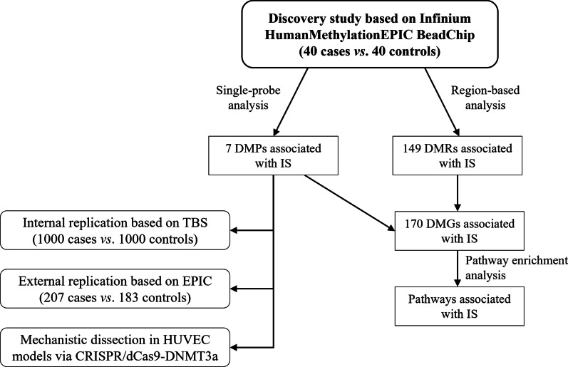 Epigenome-wide association study identifies novel genes associated with ischemic stroke.