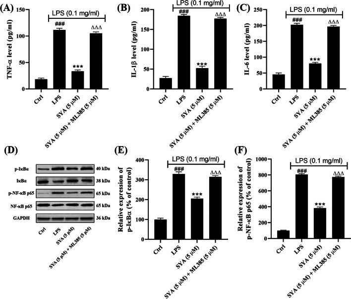 Safflor Yellow A Protects Beas-2B Cells Against LPS-Induced Injury via Activating Nrf2.