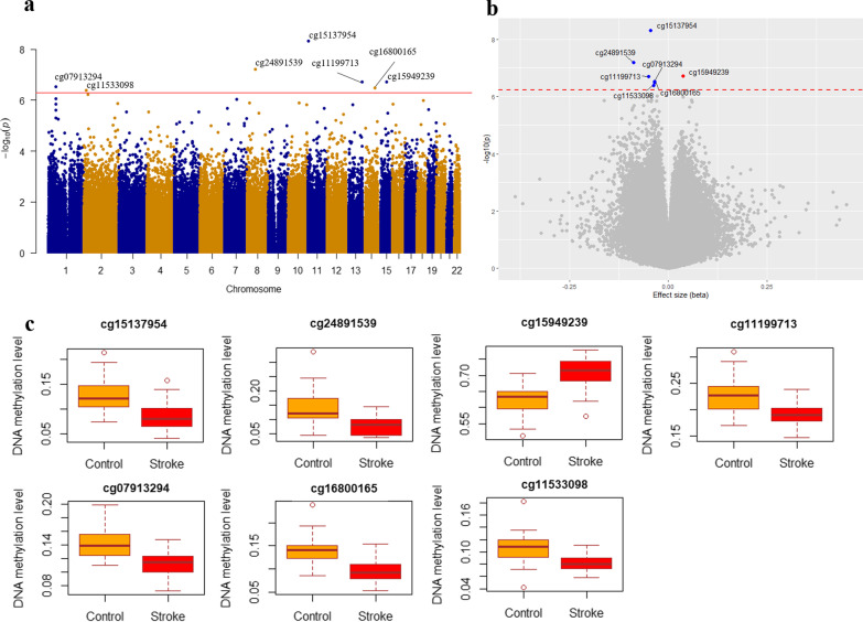 Epigenome-wide association study identifies novel genes associated with ischemic stroke.