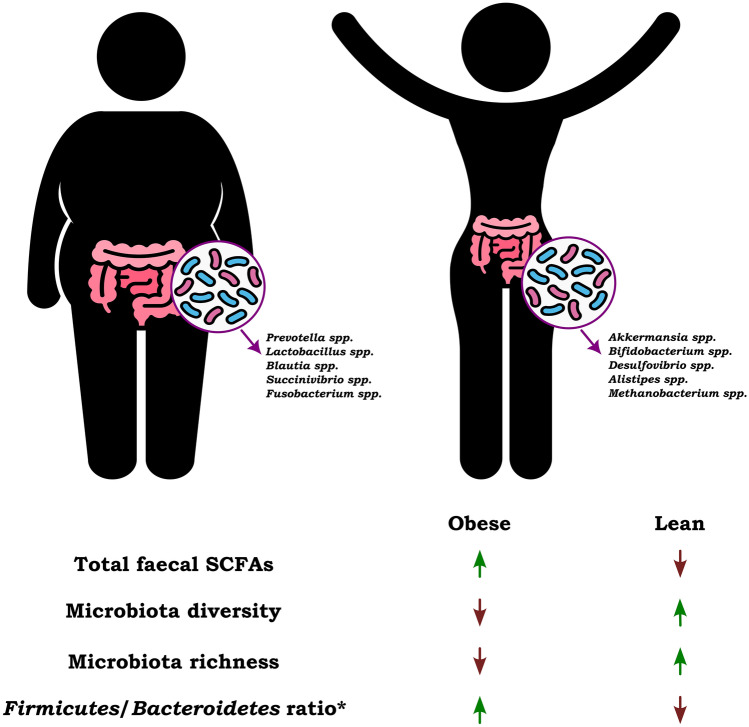 Short-Chain Fatty Acids-A Product of the Microbiome and Its Participation in Two-Way Communication on the Microbiome-Host Mammal Line.