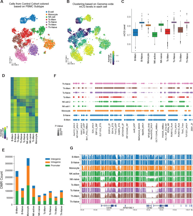 Genetics and Environment Distinctively Shape the Human Immune Cell Epigenome.