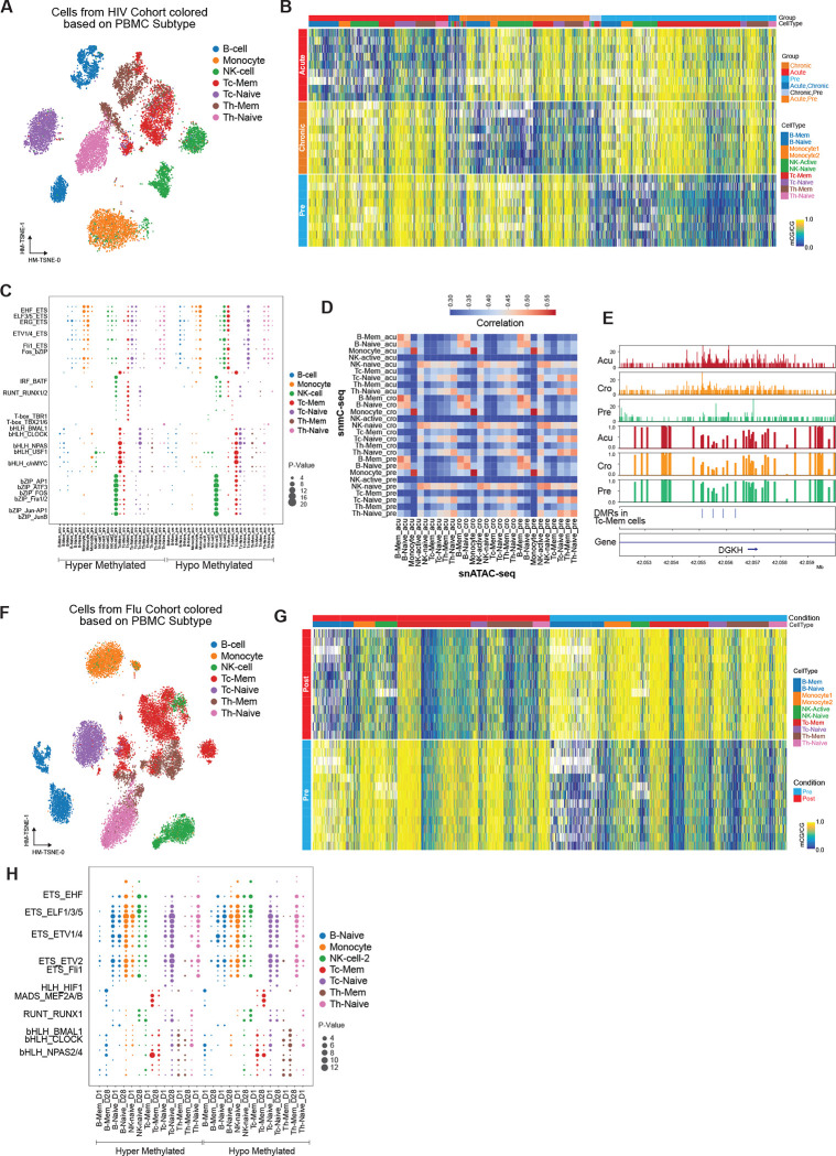 Genetics and Environment Distinctively Shape the Human Immune Cell Epigenome.